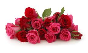 Bouquet of Red Roses